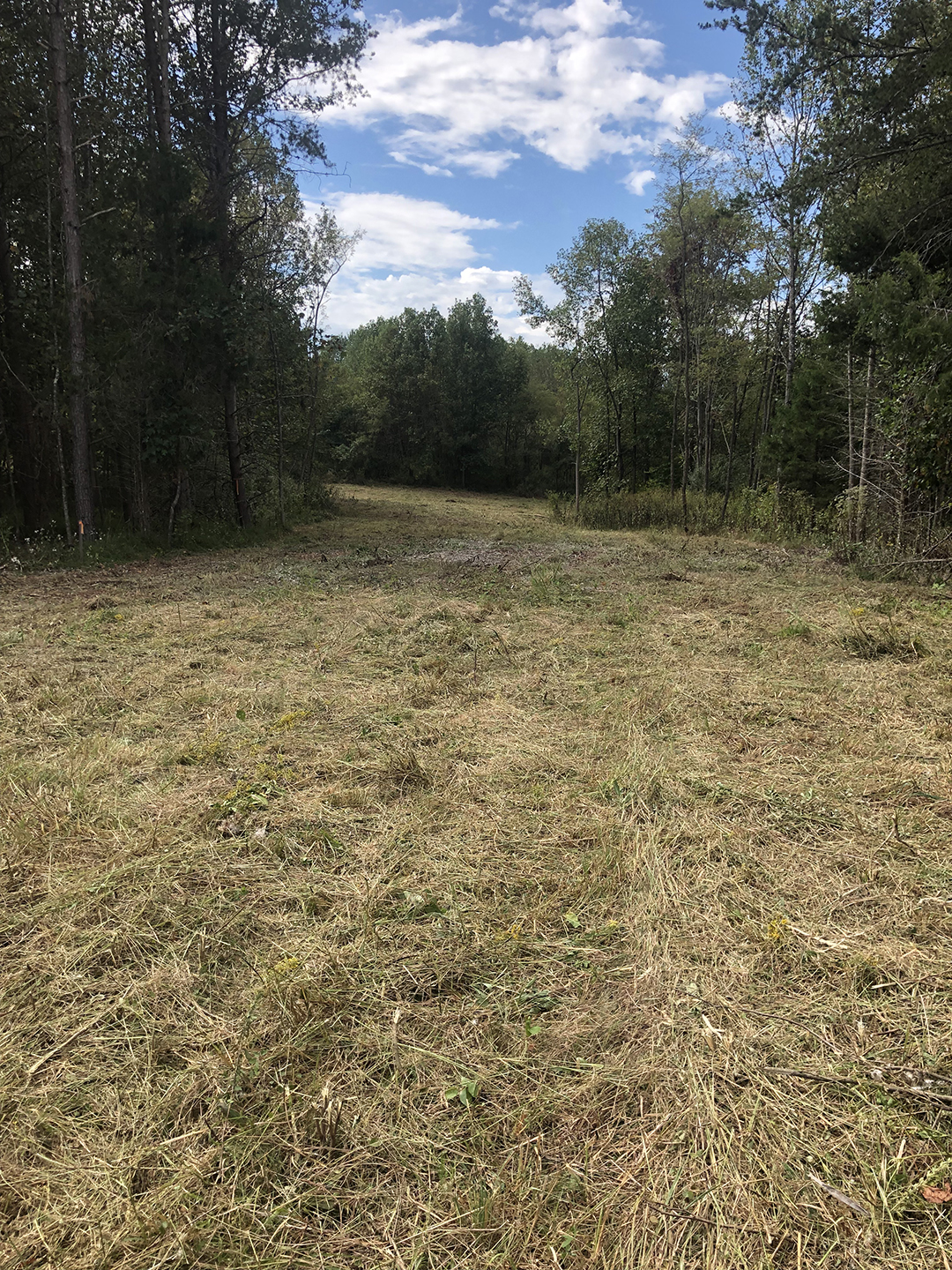 A mowed field after bush hogging by ADC Lawncare and Bobcat Service